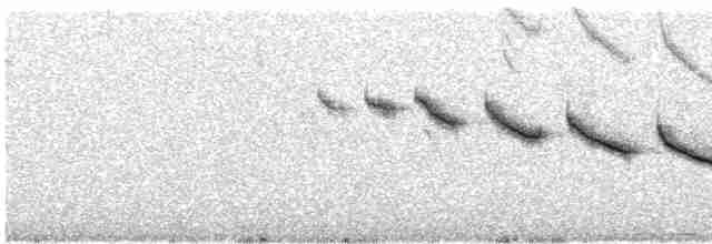 Каньонный крапивник - ML286096691