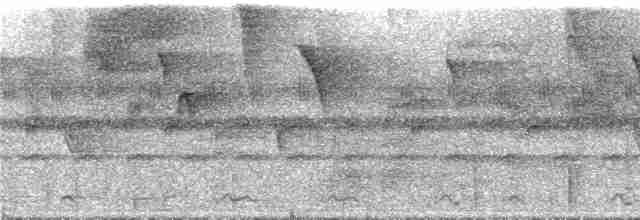 Кайеннская пенелопа - ML286150