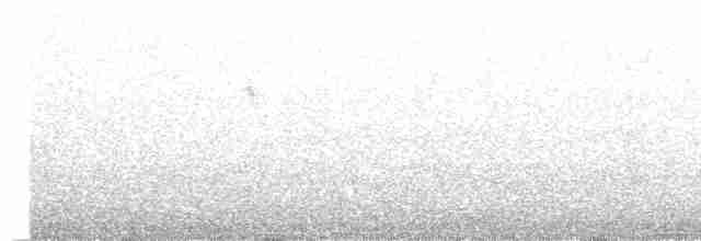 Wren-like Rushbird - ML286157561