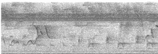 trogon guyanský - ML286202