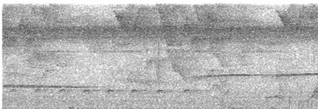 trogon guyanský - ML286203