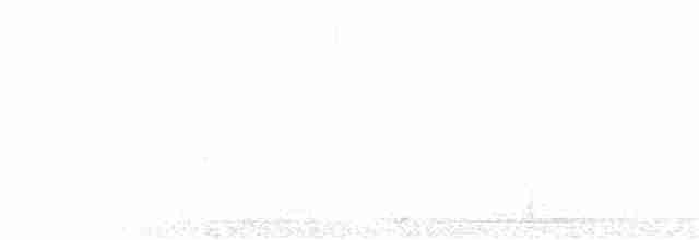 vlhovec červenokřídlý - ML28621021