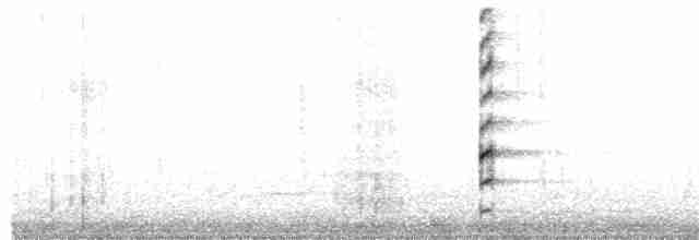 Common Gallinule (American) - ML286233681