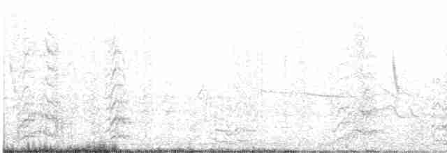 Austral Parakeet - ML286265301
