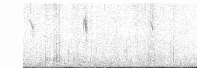 White-tailed Iora - ML286276521