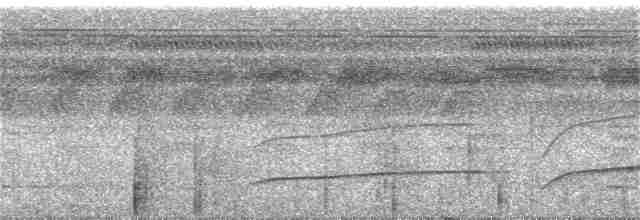 Желтоклювая якамара (chalcocephala) - ML286316621