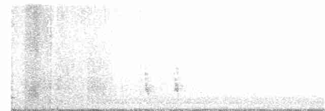 Münzevi Bülbül Ardıcı - ML286328341