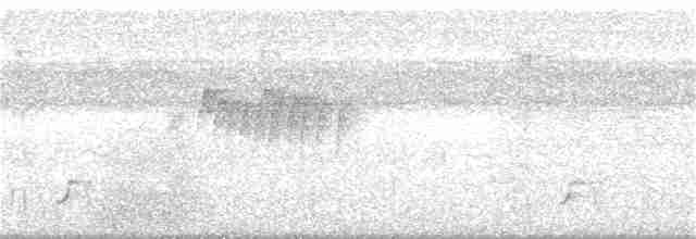Мухолов-клинодзьоб сірий - ML286331621