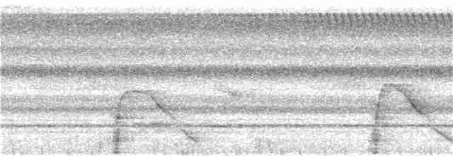 Кракс жовтодзьобий - ML286352071