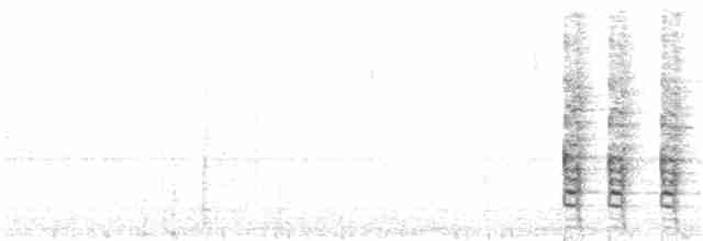 Geai à nuque blanche - ML286355291