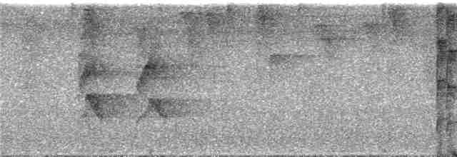 Тиран-інка буроголовий - ML286365