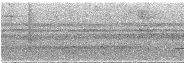 Flütçü Çıtkuşu - ML286368