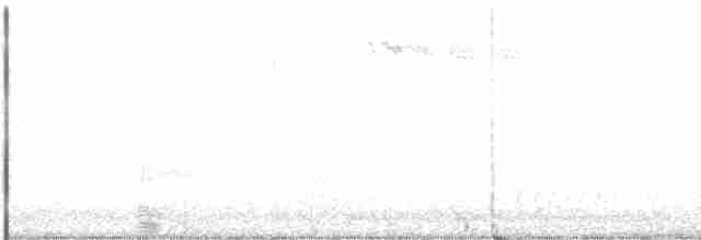 Double-crested Cormorant - ML286369901