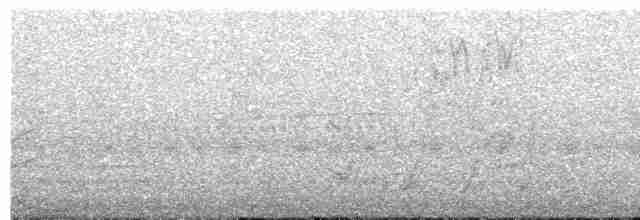 Turuncu Gagalı Loriket - ML286396221