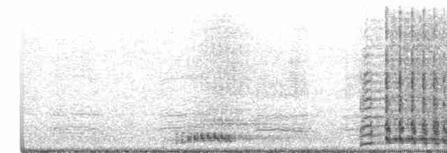 Sandhill Crane (pratensis) - ML286479271