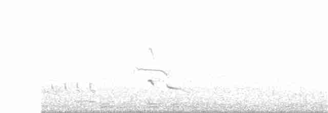 Патагонский зерноед - ML286549361