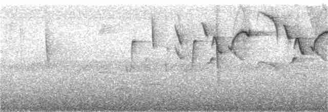 Gray-mantled Wren - ML286561161