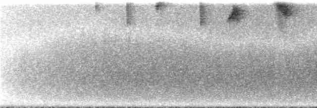 Yosun Sırtlı Çalı Serçesi - ML286567