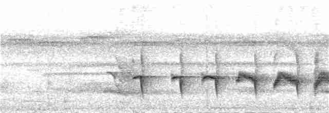 Мурав’янка-прудкокрил перуанська - ML286618071