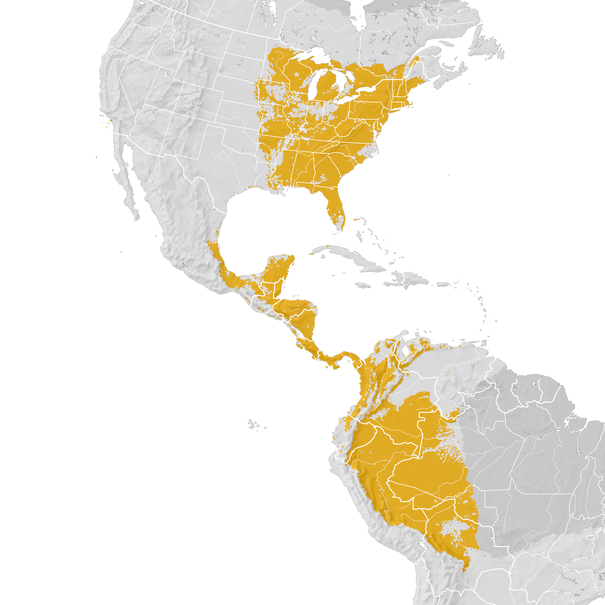 Scarlet Tanager Range map Postbreeding migration eBird Status and