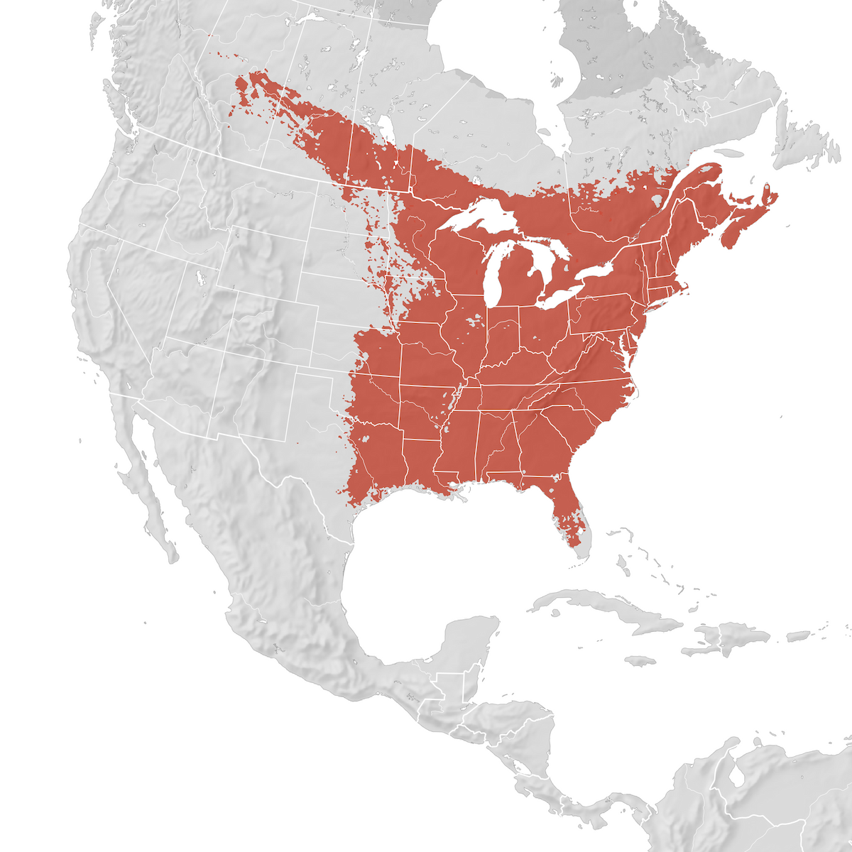 Ruby-throated Hummingbird - Range map: Breeding - eBird Status and Trends