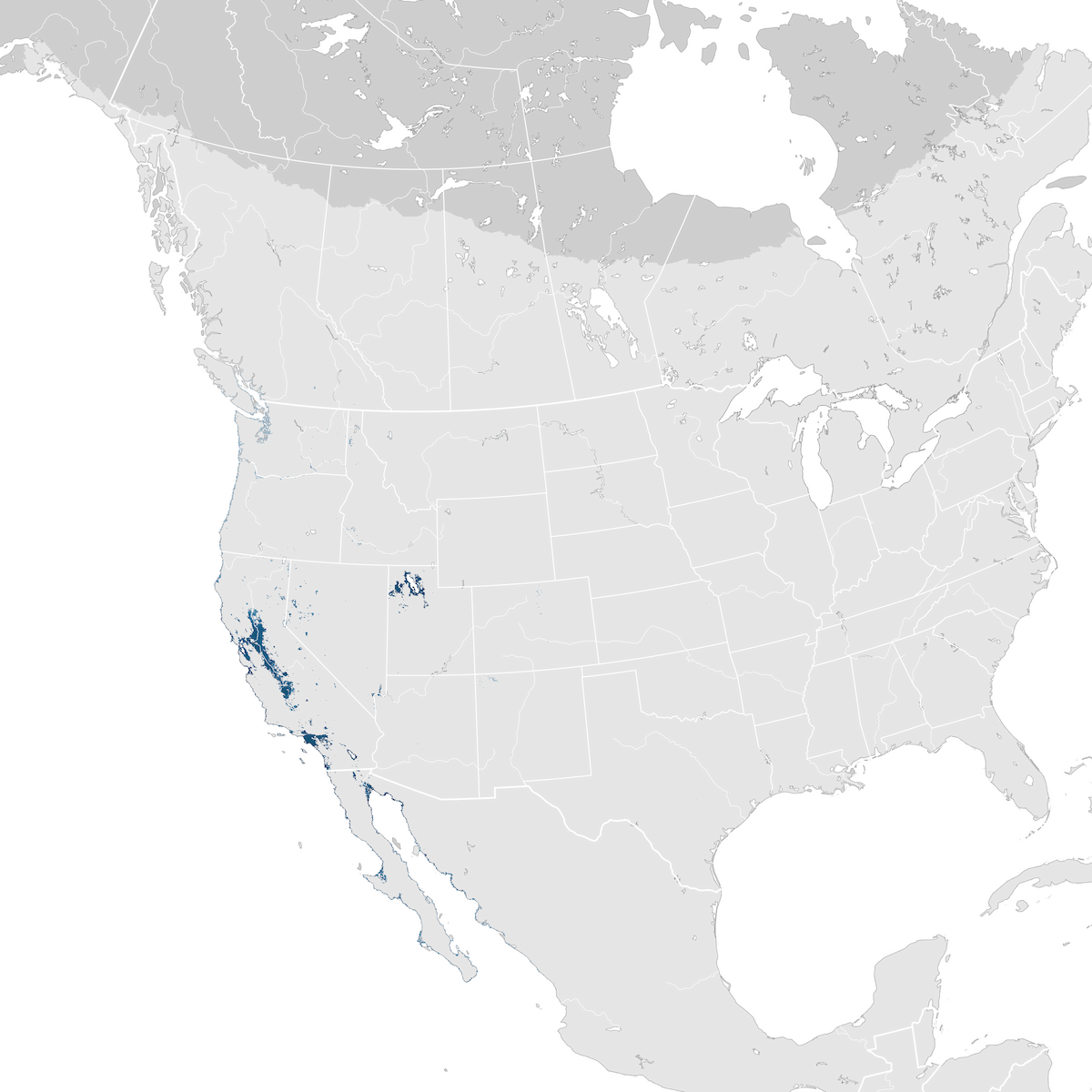 California Gull Abundance Map Non Breeding Ebird Status And Trends