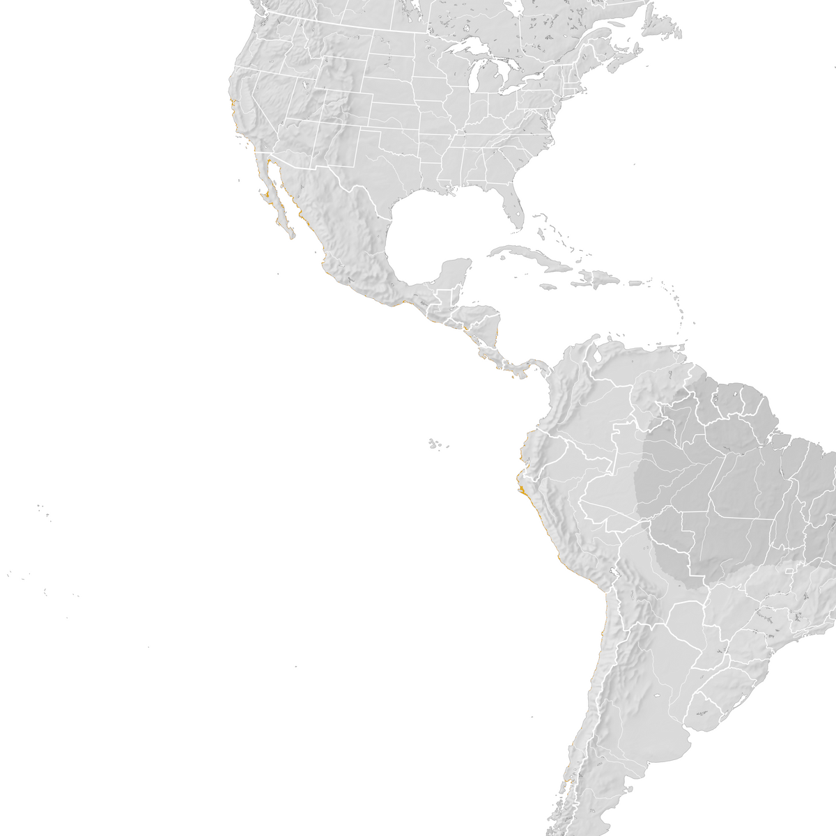 Elegant Tern - Range map: Post-breeding migration - eBird Status and Trends