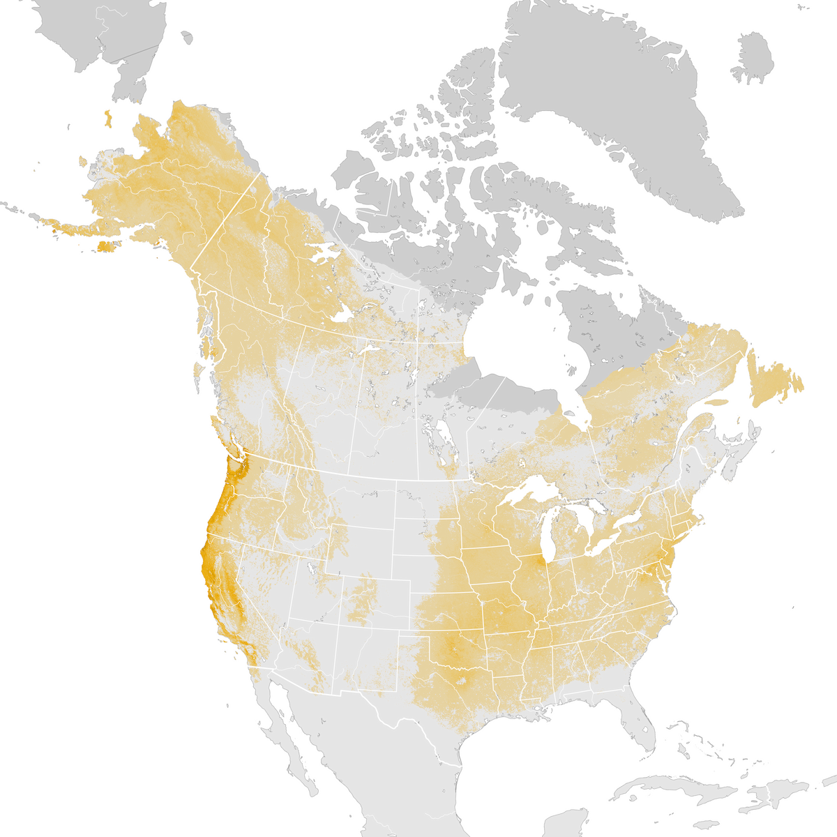 Fox Sparrow - Abundance map: Post-breeding migration - eBird Status and ...