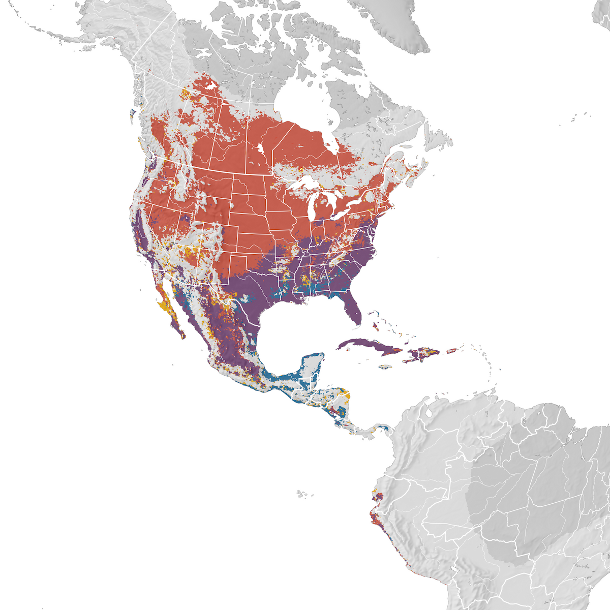 Killdeer Range map eBird Status and Trends
