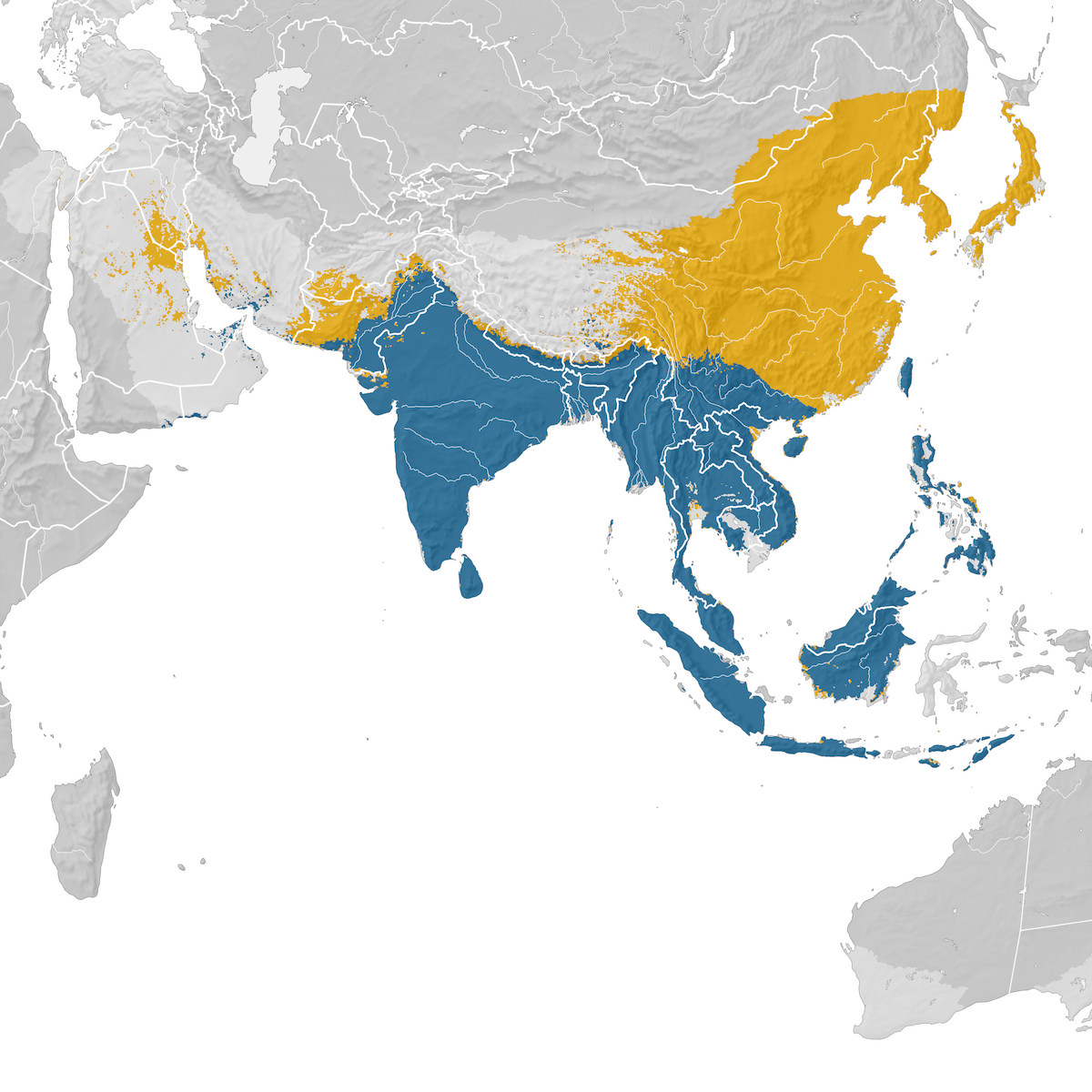 Oriental Honey-buzzard - Range map - eBird Status and Trends