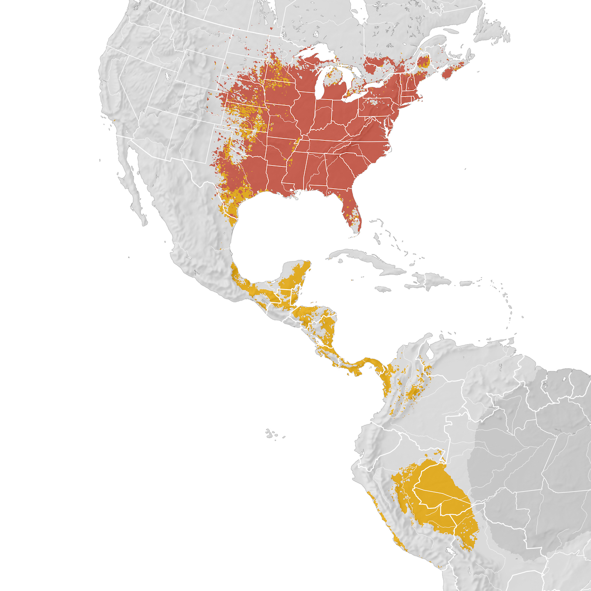 Chimney Swift - Range map - eBird Status and Trends