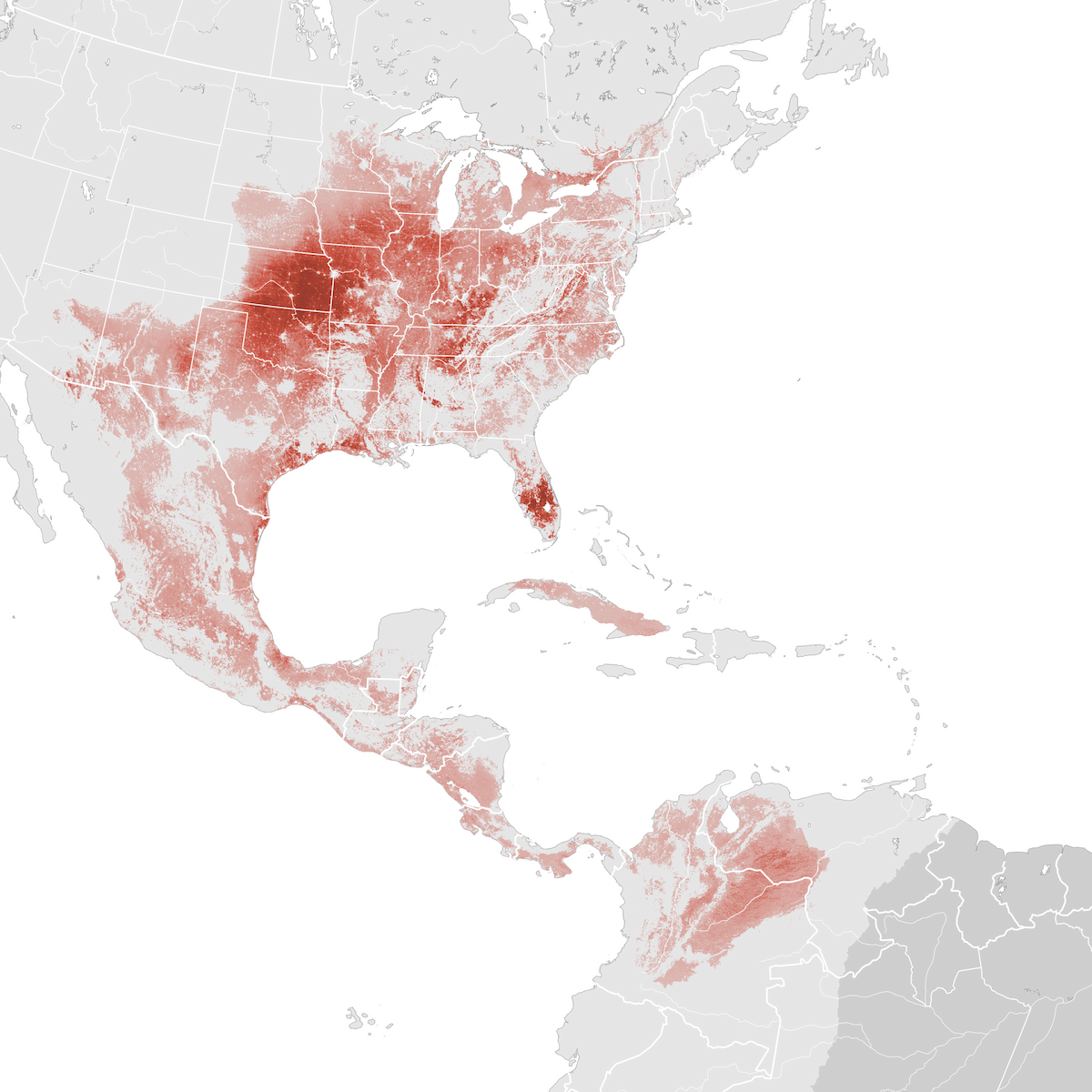 Eastern Meadowlark Abundance Map Breeding Ebird Status And Trends