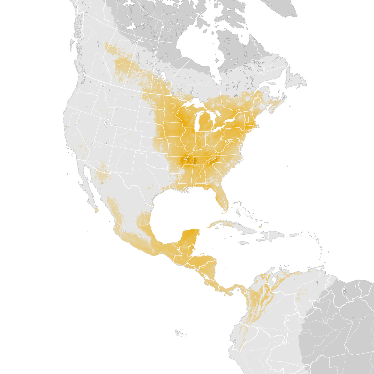 Rose Breasted Grosbeak Abundance Map Post Breeding Migration Ebird Status And Trends