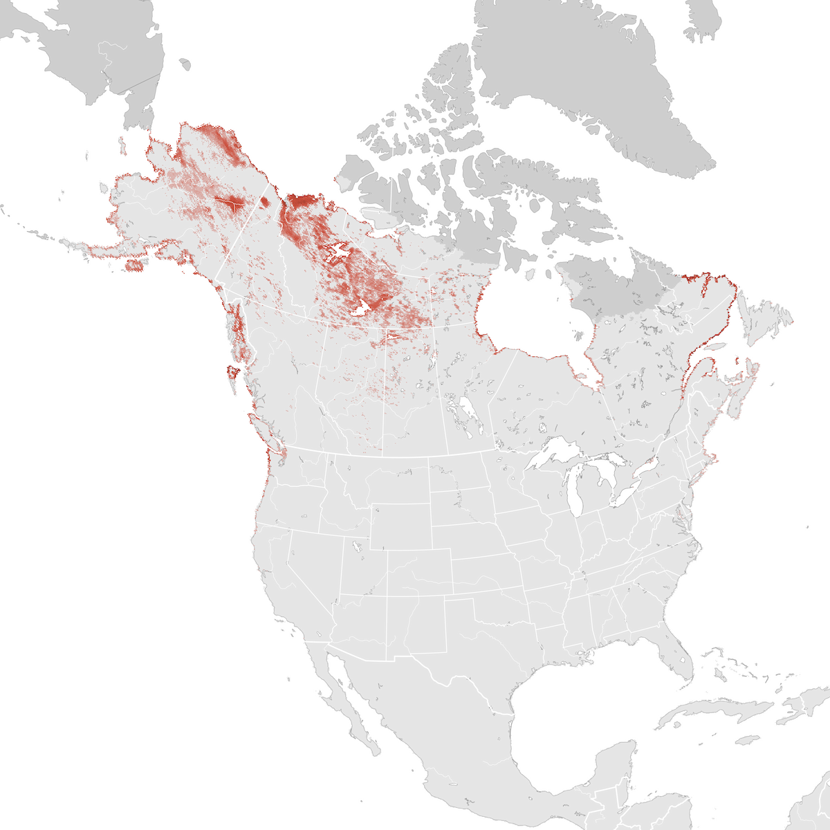 White-winged Scoter - Abundance Map: Breeding - EBird Status And Trends