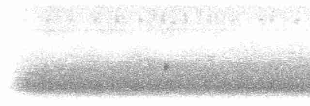 Шуляк ластівкохвостий - ML286677