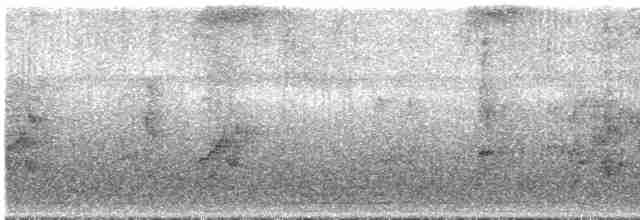 Зелонощёкая которра - ML286681