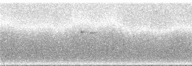 Чернобородый чертополошник - ML286684