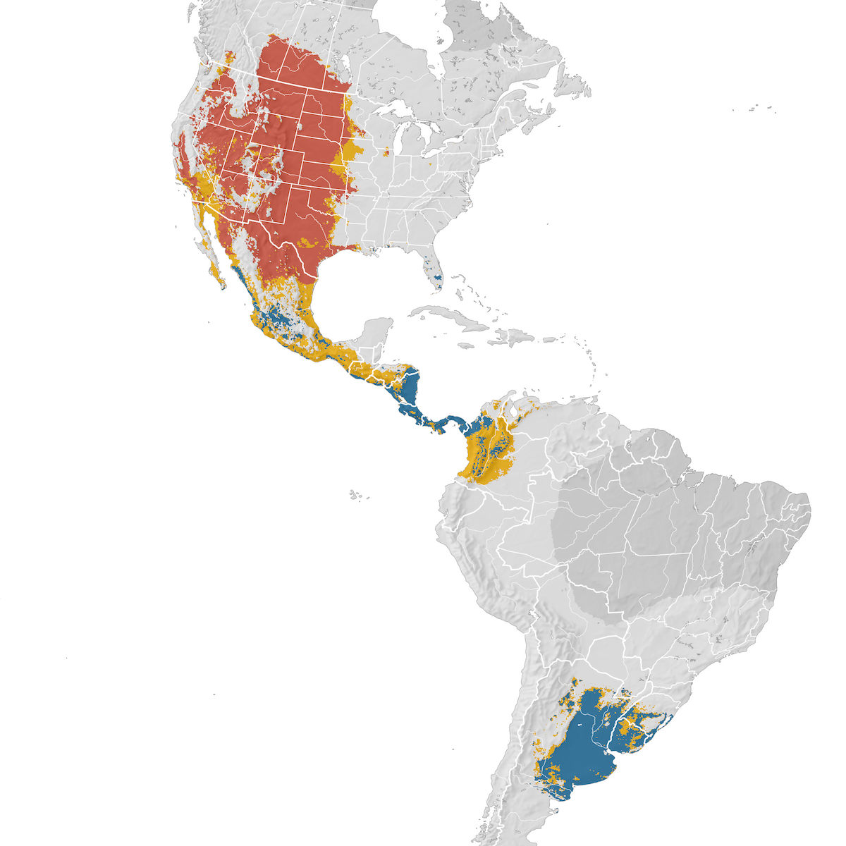 Swainson's Hawk Range map eBird Status and Trends