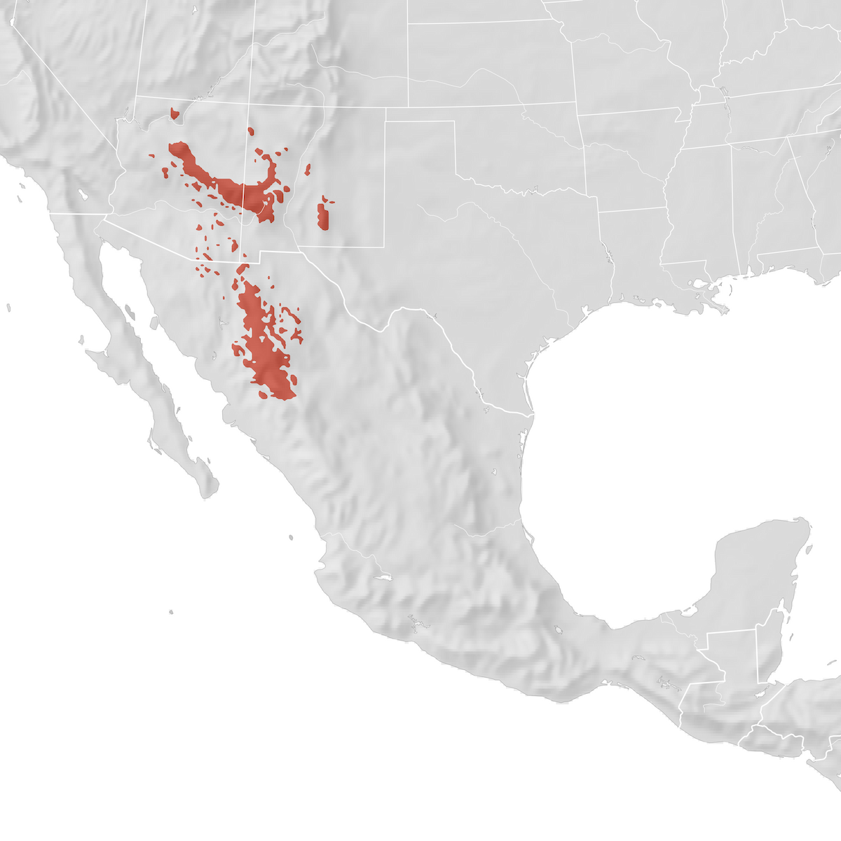 Red Faced Warbler Range Map Breeding Ebird Status And Trends