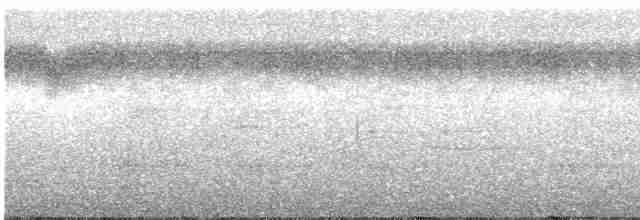 White-necked Thrush - ML286697