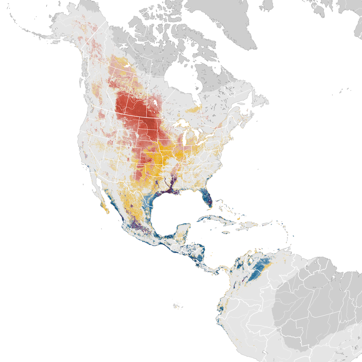 Blue Winged Teal Abundance Map Ebird Status And Trends