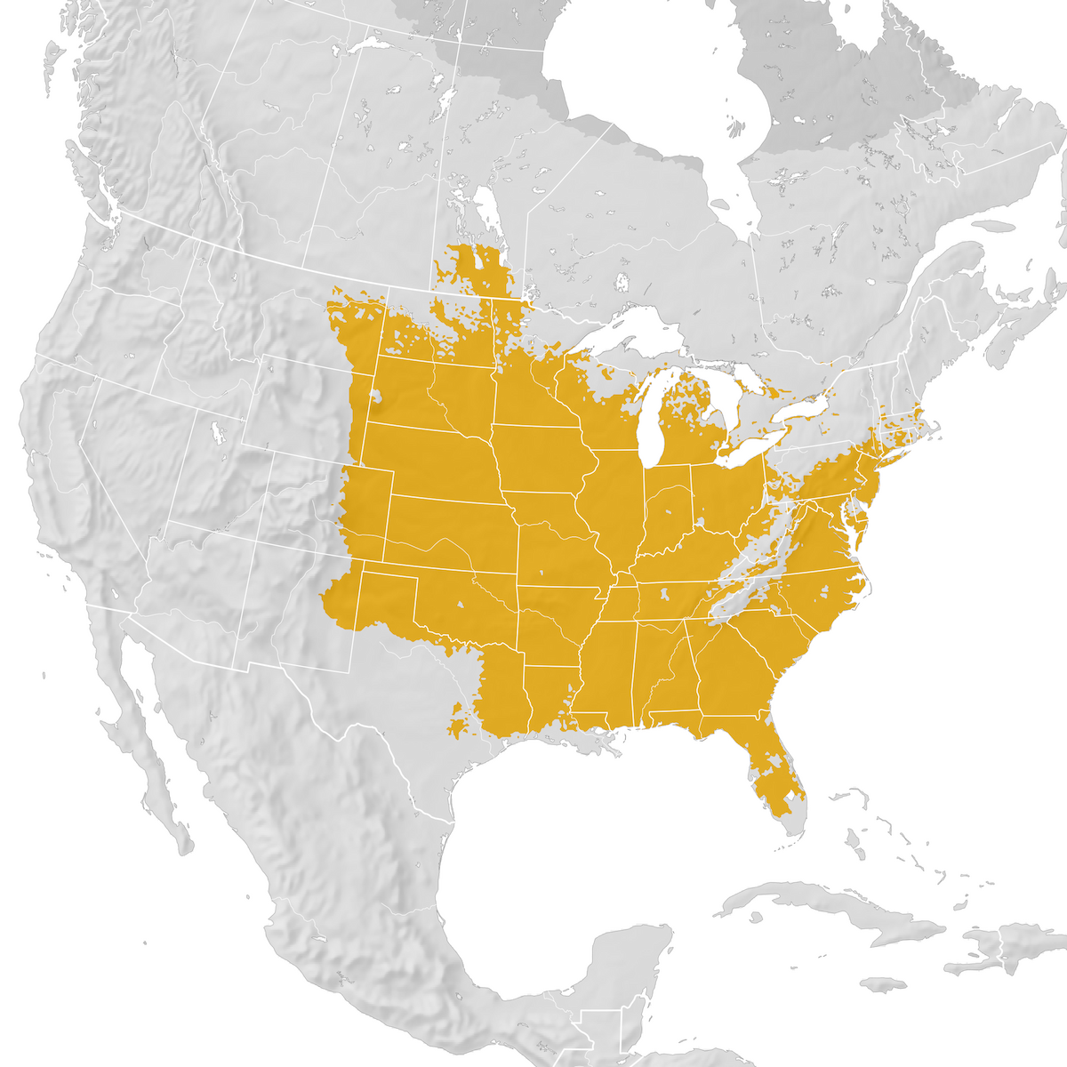 Red-headed Woodpecker - Range map: Pre-breeding migration - eBird