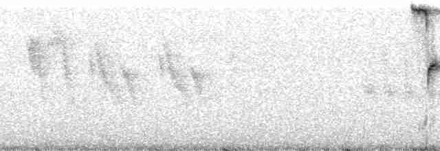 Green Warbler-Finch - ML28673