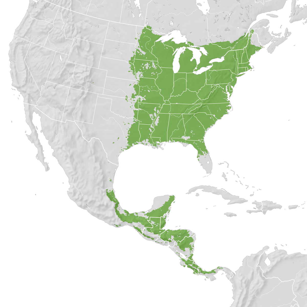 Wood Thrush - Range map: Pre-breeding migration - eBird Status and Trends