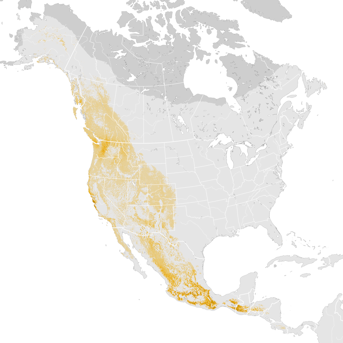 Townsends Warbler Abundance Map Post Breeding Migration Ebird Status And Trends