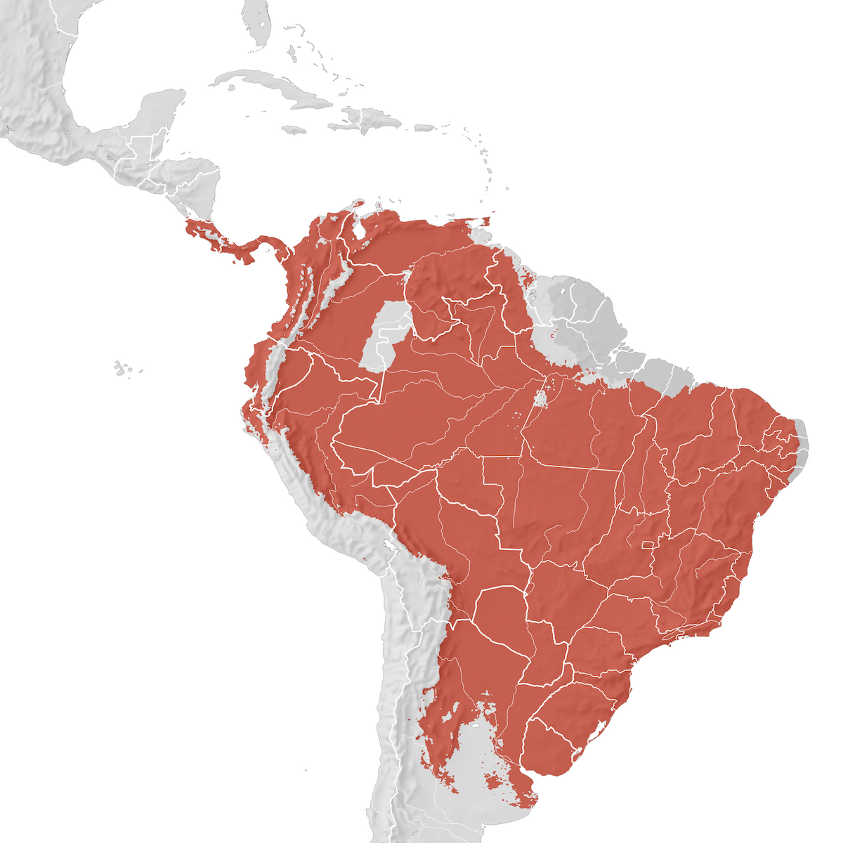 Streaked Flycatcher Range Map Breeding Ebird Status And Trends