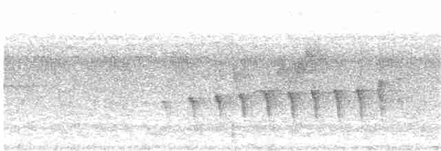 Chocó-Strichelameisenschlüpfer - ML286741561
