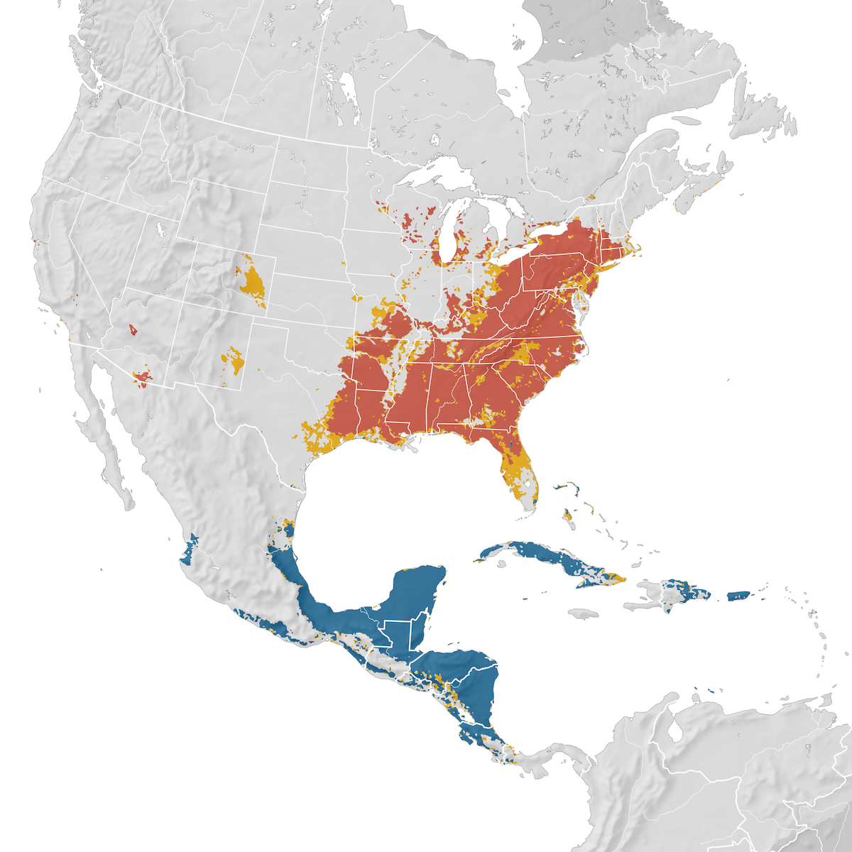 Hooded Warbler Range Map Ebird Status And Trends