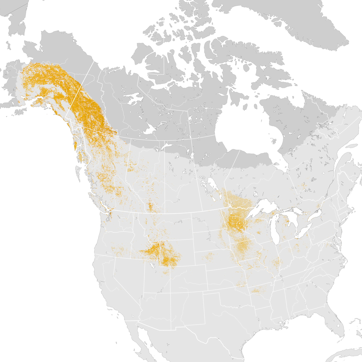 Trumpeter Swan - Abundance Map: Post-breeding Migration - Ebird Status 