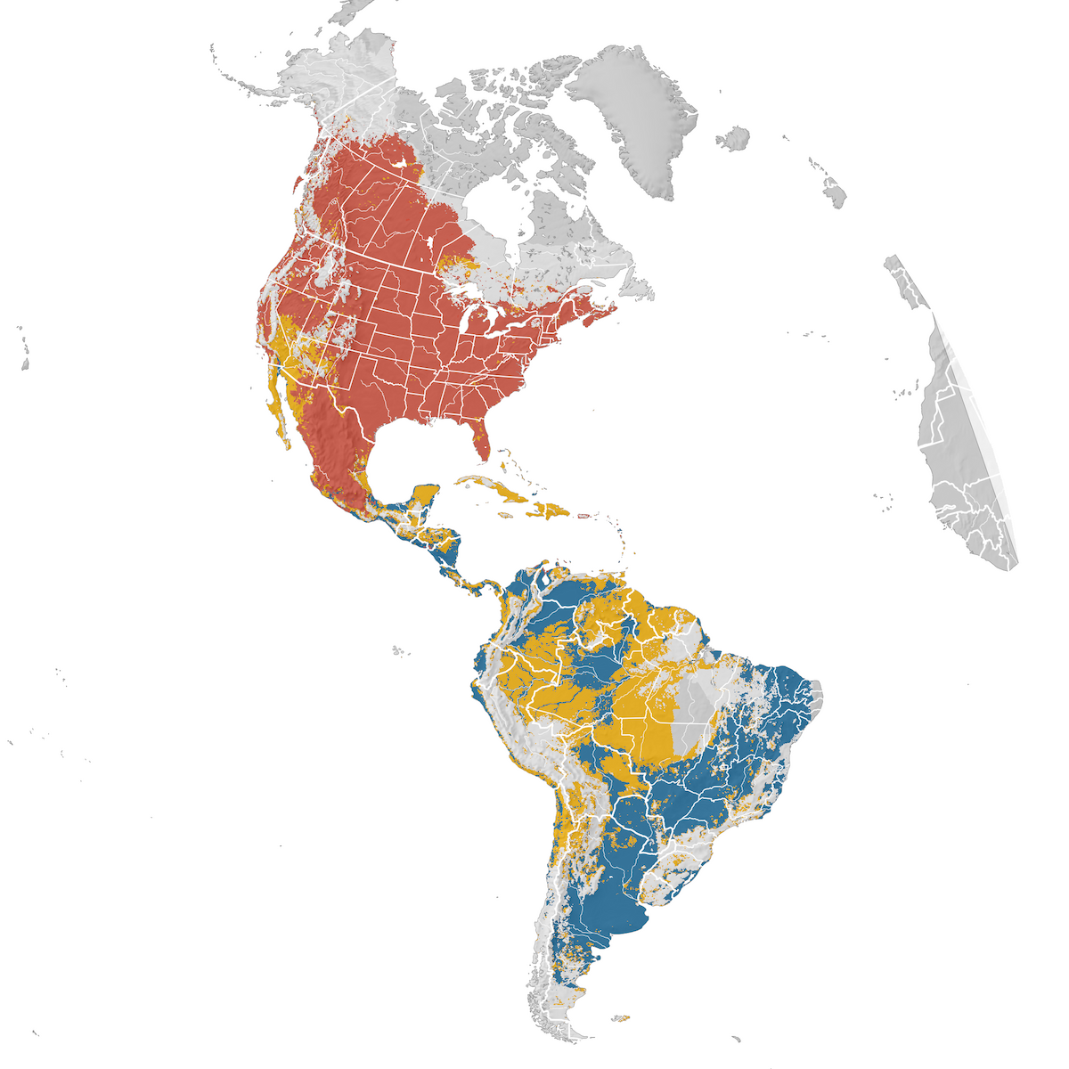 Barn Swallow - Range map - eBird Status and Trends